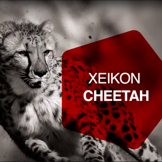 Cheetah